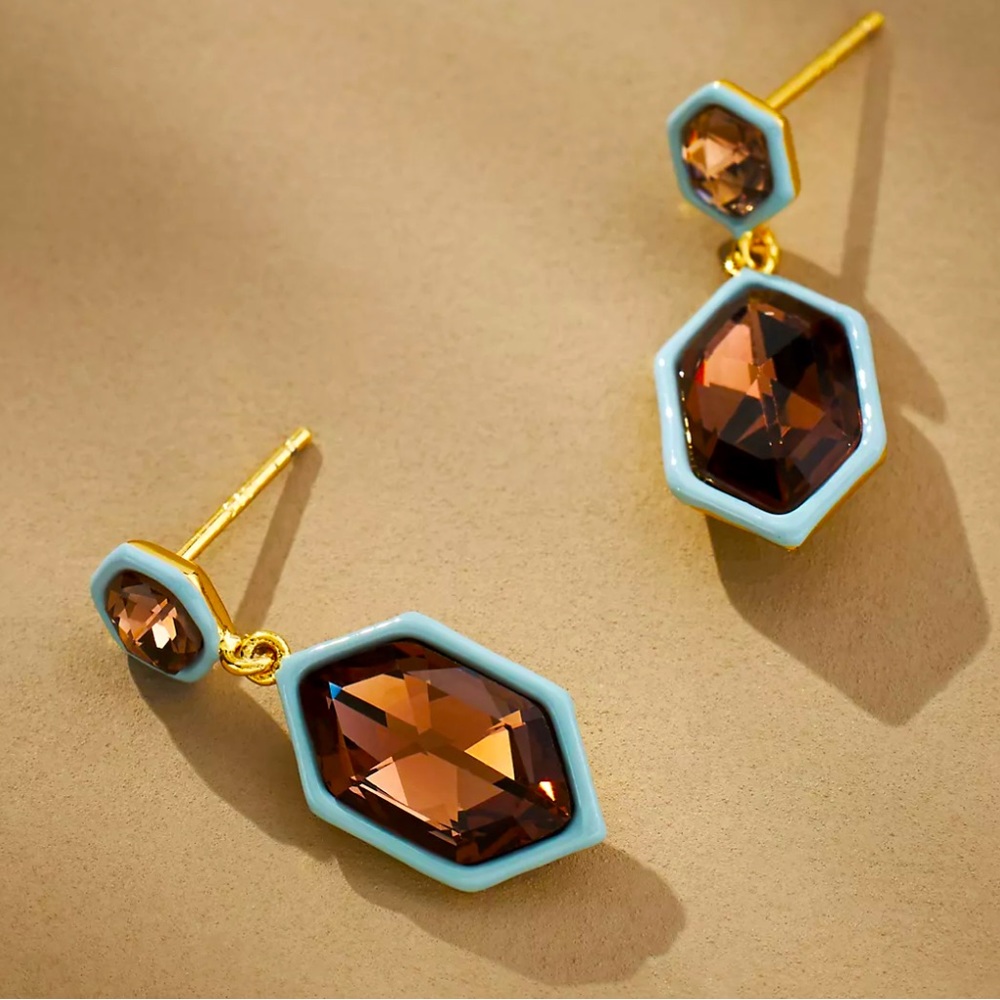 Anthropologie Blue and Brown Geometric Earrings